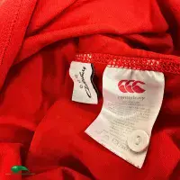 1959 British and Irish Lions Rugby Shirt | Old Official Canterbury Jersey