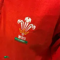 1992 1993 Wales Classic Rugby Shirts Vintage Old Jerseys