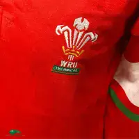 1993/95 Wales Rugby Shirt | Original Cotton Traders Jersey