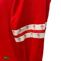 1995/96 Wales Rugby Shirt | Old Official Cotton Traders Jersey - Vintage Classic Rugby Shirts