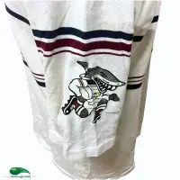 2000/01 Swansea Rugby Shirt | Old Official Canterbury Jersey