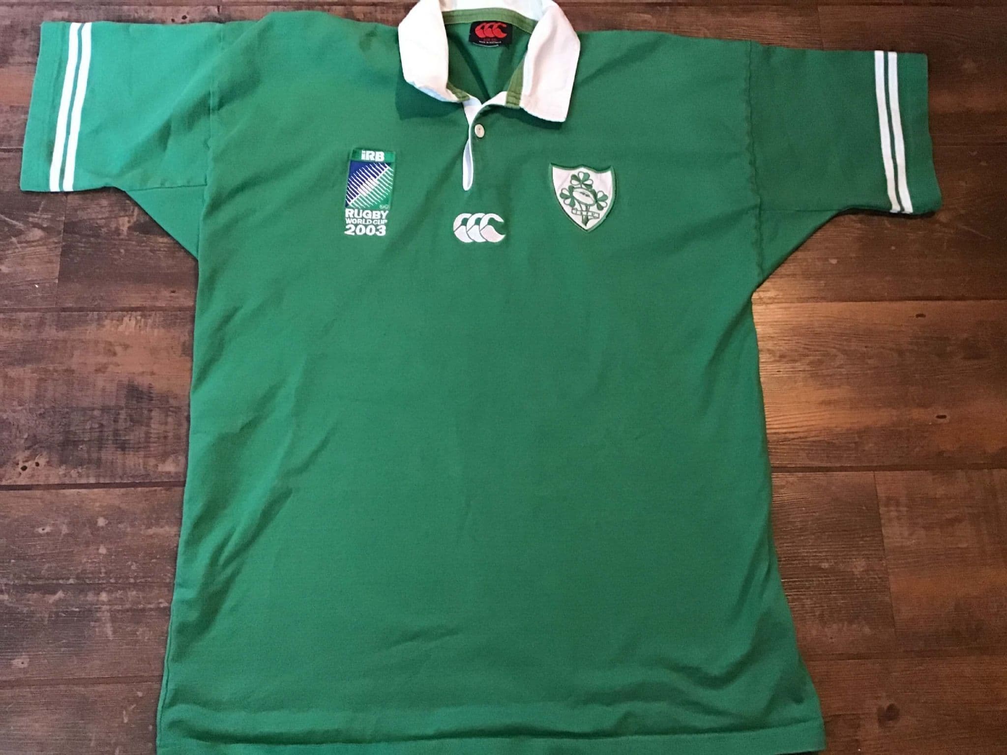 Drapeau De La République D'irlande Sous Le Bouton Du Dôme 3d Et Sur La
