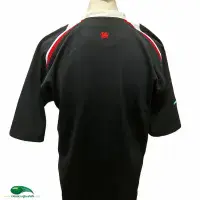 2005/06 Wales Rugby Shirt | Classic Rugby Shirts