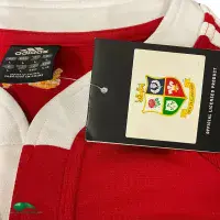 2005 British and Irish Lions Classic Rugby Shirts | Vintage Old Jerseys