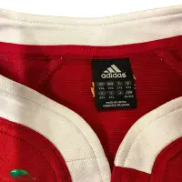 2005 British Irish Lions Rugby Shirt | Old Official Adidas Jersey