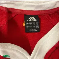 2005 British and Irish Lions Classic Rugby Shirts | Old Vintage Jerseys