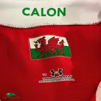 2009/10 Wales Rugby Shirt | Official Under Armour Jersey