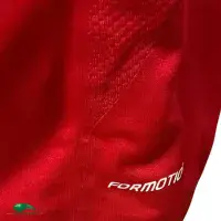 Classic Rugby Shirts | 2009 British Lions Vintage Retro Player Old Jerseys