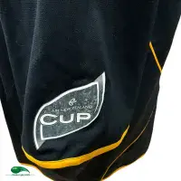 2009 Wellington Lions Classic Rugby Shirts | Vintage Old Jerseys