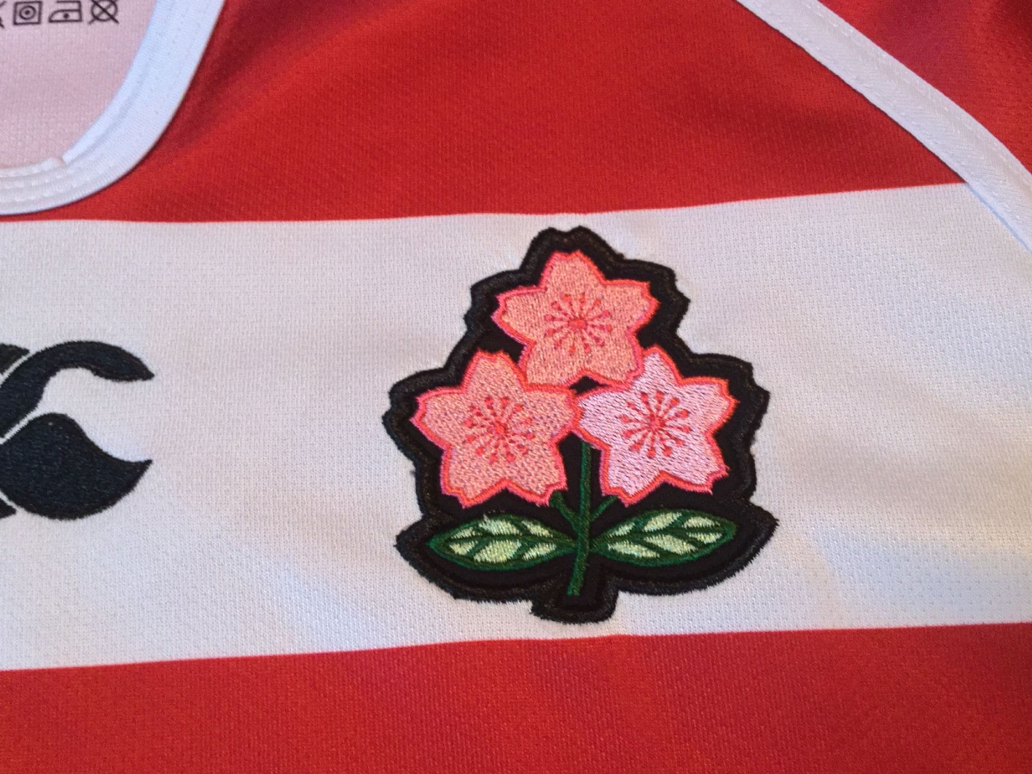 Classic Rugby Shirts | 2011 Japan Vintage Old Retro Jerseys
