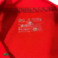 2013/14 Wales Rugby Shirt - Vintage Old Jerseys - Adults Xl