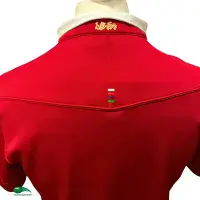 2013 British and Irish Lions Rugby Shirt | Old Official Adidas Jersey