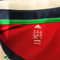 2013 British and Irish Lions Rugby Shirt | Old Official Adidas Jersey