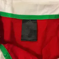 2013 British and Irish Lions Classic Rugby Shirts | Vintage Old Jerseys