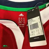 2013 British Irish Lions Rugby Shirt | Old Official Adidas Jersey