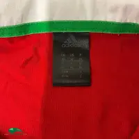 2013 British Irish Lions Classic Rugby Shirts Vintage Jerseys