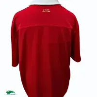 2013 British Irish Lions Rugby Shirt | Old Official Adidas jersey