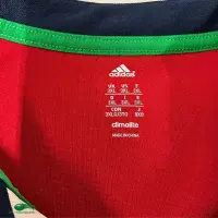 2013 British Irish Lions Rugby Shirt | Old Official Adidas jersey