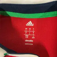 2013 British Irish Lions Rugby Shirt | Old Official Adidas Jersey