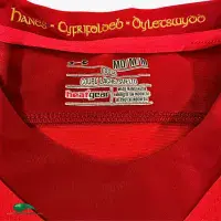 2015/16 Wales Rugby Shirt | Old Official Under Armour Jersey
