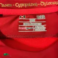 2015/16 Wales Classic Rugby Shirt | Old Official Under Armour jersey