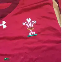 World Cup Rugby Shirts | 2015 Wales RWC Vintage Old Jerseys