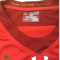 World Cup Rugby Shirts | 2015 Wales RWC Vintage Old Jerseys