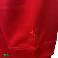 Classic Rugby Shirts | 2017 British & Irish Lions Old Vintage Jerseys