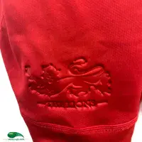 Classic Rugby Shirts | 2017 British & Irish Lions Old Vintage Jerseys