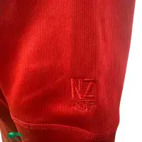 Classic Rugby Shirts | 2017 British & Irish Lions Old Vintage Jerseys