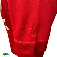 2017 British & Irish Lions Rugby Shirt | Old Official Canterbury Jersey