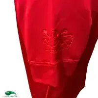 2017 British & Irish Lions Rugby Shirt | Old Official Canterbury Jersey