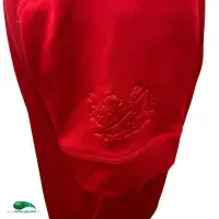 World Rugby Shirts | 2017 British and Irish Lions Vintage Classic Jerseys