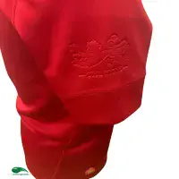 2017 British & Irish Lions Rugby Shirt - Old Classic Canterbury Jerseys