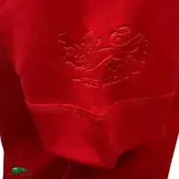 Classic Rugby Shirts | 2017 British & Irish Lions Vintage Old Jerseys