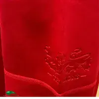 Classic Rugby Shirts | 2017 British & Irish Lions Vintage Old Jerseys