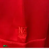 Classic Rugby Shirts | 2017 British & Irish Lions Vintage Old Jerseys