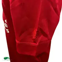 2017 British & Irish Lions Rugby Shirt | Old Official Canterbury Jersey - Vintage Classic Rugby Shirts