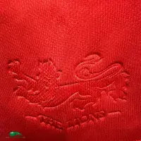 2017 British & Irish Lions Vintage Classic Rugby Jersey