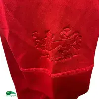 2017 British & Irish Lions Rugby Shirt - Canterbury - New Zealand Tour - Adults Medium
