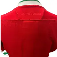 2020/21 Wales Player Rugby Shirt | Old Official Macron Jersey