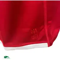 2021 British and Irish Lions Vintage Classic Rugby Shirts Old Jerseys
