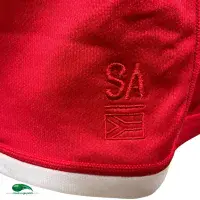 2021 British & Irish Lions Rugby Shirts - Vintage Old Jerseys