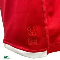 Classic Rugby Shirts | 2021 British and Irish Lions Vintage Old Jerseys