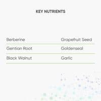 Berberine & Grapefruit Seed 60 capsules