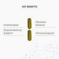 Berberine & Grapefruit Seed 60 capsules