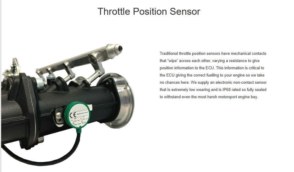 Omex Ford Zetec (Focus) Blacktop 1.8/2.0 ECU & Throttle Body Package