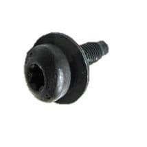 LR084136 Torx Screw M10 x 31mm 