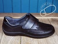 Waldläufer Henni Memphis