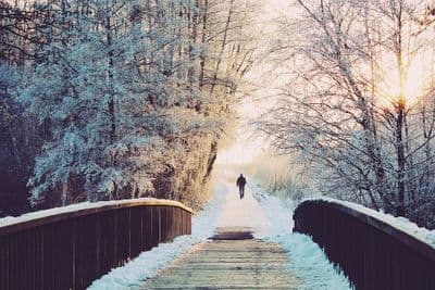 Winter